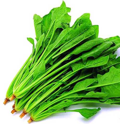 Seasonal leafy vegetables